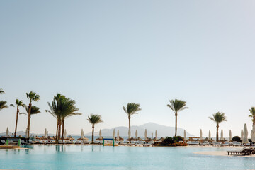 Fototapeta na wymiar large pool with palm trees on the sea background