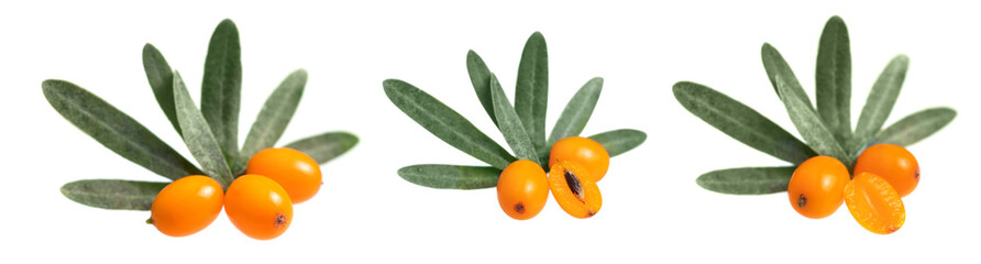 Sea buckthorn. Fresh ripe berry, slice berries with leaves isolated on white background macro