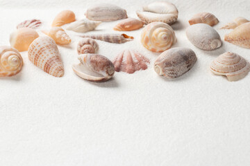 Seashells on sand. Sea summer vacation background with space for the text
