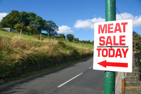 A sign that says "meat sale today" with an arrow.  Image has copy space.