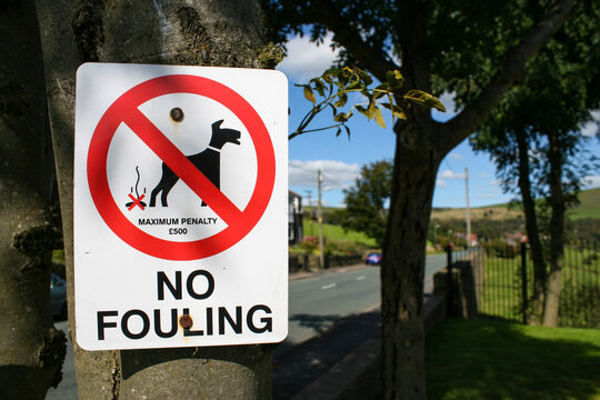 A sign stuck to a tree that says "No Fouling" with an image of a dog pooping.  Image has copy space.