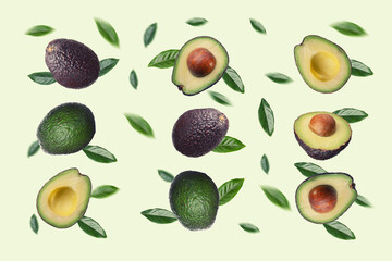 Avocado with leaves on a light green background.