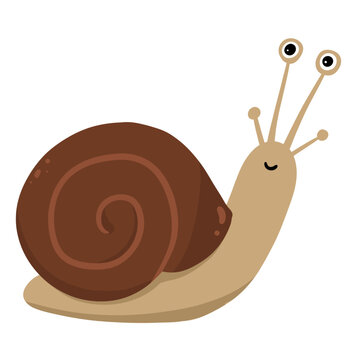 Cute snail character illustration