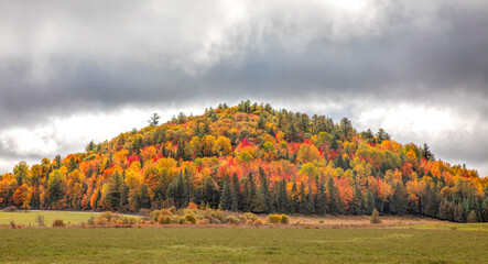 Colourful mountain with trees in full autumn colours in Chelsea, Quebec, Canada