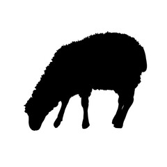 sheep silhouette