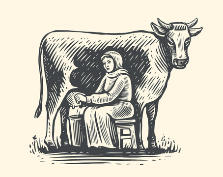 Milkmaid milking cow in field. Dairy farm concept sketch. Production of organic food and drinks based on natural milk