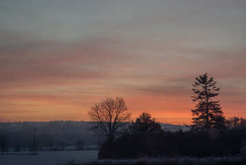 Obraz na płótnie Canvas field with trees at dawn in winter