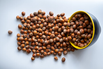 Nuts, hazelnuts spilled, Hazelnuts spilled from bowl on floor, top view