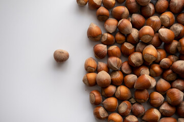 Hazelnut, Top view hazelnut, nut. 