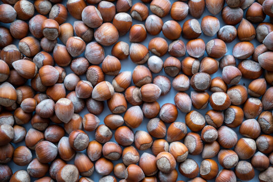Hazelnut background, Hazelnut food background texture, nut. Selective focus, top view.