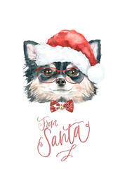 Watercolor chihuahua illustration dogs breeds collection, Merry Christmas greeting card, Dog in santa,elf hat,  clothes, funny character printable portrait, costume, New year,lettering diy card design