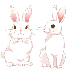 うさぎ　2023年　年賀状素材　イラスト