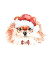 Watercolor pom spitz illustration dogs breeds collection, Merry Christmas greeting card, Dog in santa,elf hat, clothes, funny character printable portrait, costume, New year,lettering diy card design