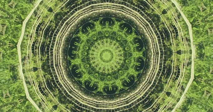Green abstract mandala kaleidoscope background. Light, dark green colors in dynamic moving. Fractal motion geometric forest design. Natural fir, pine, spruce meditation art pattern. Vertical footage