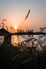 Fototapeta premium sunset over the river