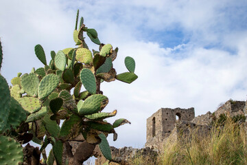 A Glimpse of the Ruins of the Mausoleum of Tredoliche. Landscape From the Ruins of Cirella, an...