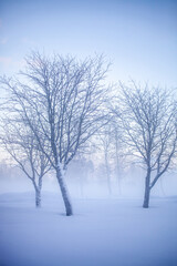 Fototapeta na wymiar Winter wonderland in Finland