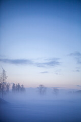 Winter wonderland in Finland - 554470895
