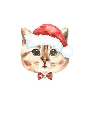 Watercolor cat illustration, cat breeds collection, Merry Christmas greeting card, cat in santa,elf hat,  clothes, funny character printable portrait, costume, New year,lettering, card design diy