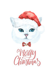 Watercolor cat illustration, cat breeds collection, Merry Christmas greeting card, cat in santa,elf hat,  clothes, funny character printable portrait, costume, New year,lettering, card design diy