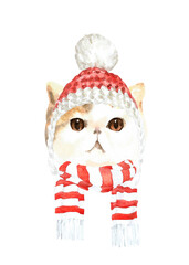 Watercolor cat illustration, cat breeds collection, cat in hat,clothes,nordic knitted hat,scandi, warm clothes, Merry Christmas greeting card, funny character printable portrait,costume,New year, diy