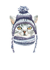 Watercolor cat illustration, cat breeds collection, cat in hat,clothes,nordic knitted hat,scandi, warm clothes, Merry Christmas greeting card, funny character printable portrait,costume,New year, diy