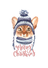 Watercolor cat illustration, cat breeds collection, cat in hat,clothes,nordic knitted hat,scandi, warm clothes, Merry Christmas greeting card, funny character printable portrait,costume,New year, diy