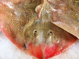 Fresh raw ray fish at a seafood market © Stimmungsbilder1