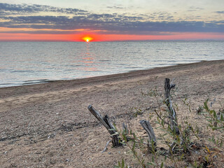 Dawn over Lake Khanka in autumn. Russia, Primorsky Krai