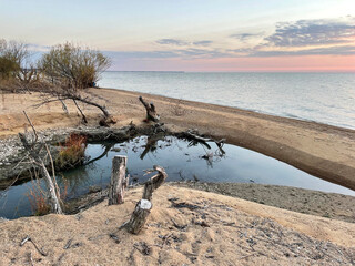 Obraz premium Dawn over Lake Khanka in autumn. Russia, Primorsky Krai