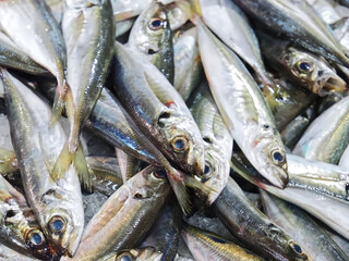 Raw fresh sea fish at a fish market