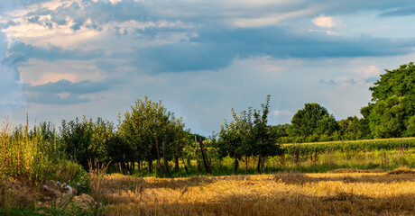 Verger et agriculture mixte en plaine d'Alsace, Alsace, France