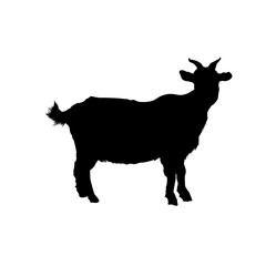 goat silhouette