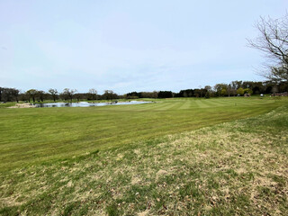 Obraz premium field and blue sky