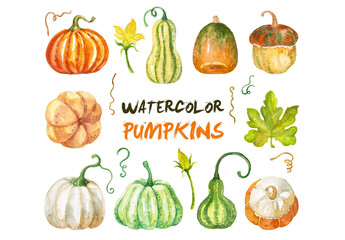 Abstract watercolor collection of autumn pumpkins. Hand drawn nature design elements isolated on white background.