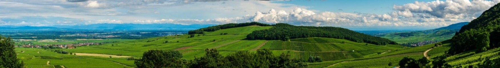 Le Mont de Sigolsheim, au cœur du vignoble alsacien, CEA, Grand Est, Alsace, France