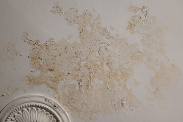 Flooding rainwater, causing damage, peeling paint and mildew.