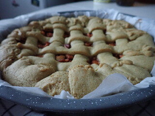 Fototapeta na wymiar homemade baking of sweet apple pie