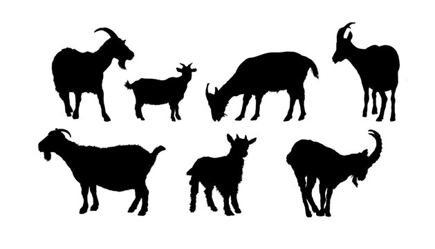 set of goat silhouette	- vector illustration