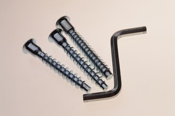 self-tapping screws, hexagons and a screwdriver lie on a light background. close-up