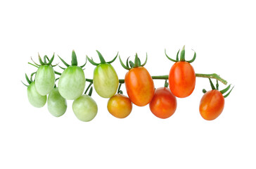 Fresh cherry tomatoes isolated on transparent png