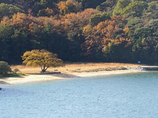 ナカンダ浜遺跡【香川県坂出市沙弥島】2
