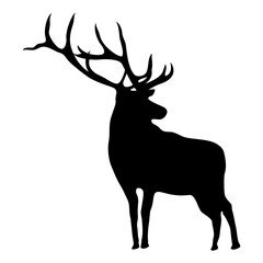 Deer black silhouette transparent