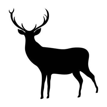 Beautiful deer silhouette transparent