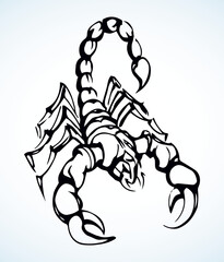 Dangerous insect. Scorpion. Vector drawing
