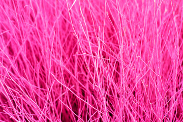 Background image of dyed truffle branches in a variety of colors for website graphic design background making infographics fabric design product packing camera