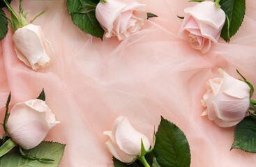 Top view of pink roses  on pink tulle background.