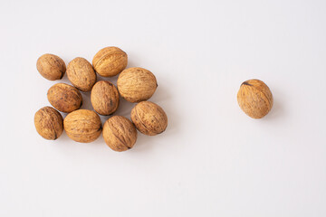 Fresh walnut in a shell on a white background.