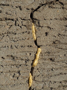Mounting foam - polyurethane foam sealant. The foam consists of 2 main components, Methylene diphenyl diisocyanate and polyols. Foam-filled crack in the plastered wall of the facade of the house.