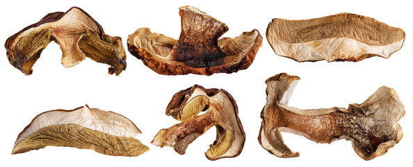 Dried Boletus edulis (king bolete) isolated on white background. Collection with clipping path.
